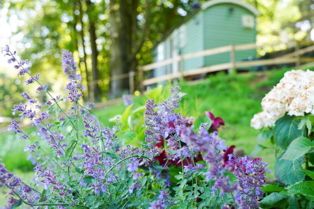 Lavender Retreat With Private Hot Tub Guest House Upper Hulme Eksteriør bilde